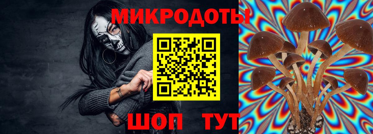 Галлюциногенные грибы Cubensis  Галлюциногенные грибы Magic Shrooms  Алексеевка  Вход с VPN 